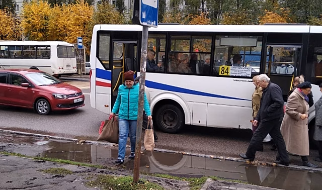 И так сойдет, но вы держитесь: «Зебра» и остановка толкают в грязь и лужи жителей Воронежа