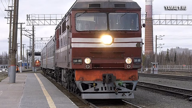 В Красносельском районе пенсионера насмерть сбила электричка