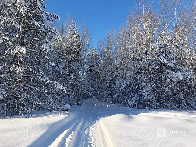 Потепление до -2°С прогнозируется в Нижнем Новгороде к 23 февраля