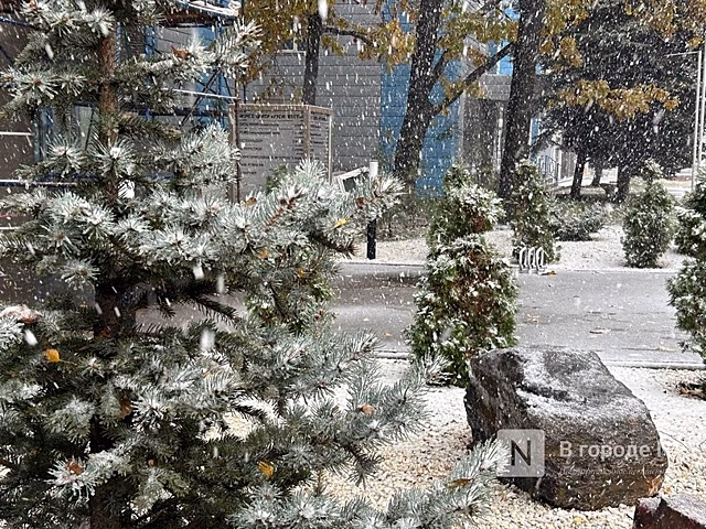 Снег выпал в Нижнем Новгороде в апреле