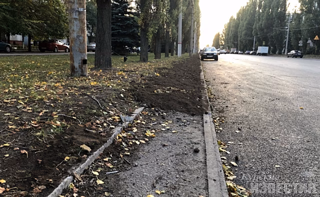 Активисты попросили власти обустроить тротуары вдоль дорог Курска