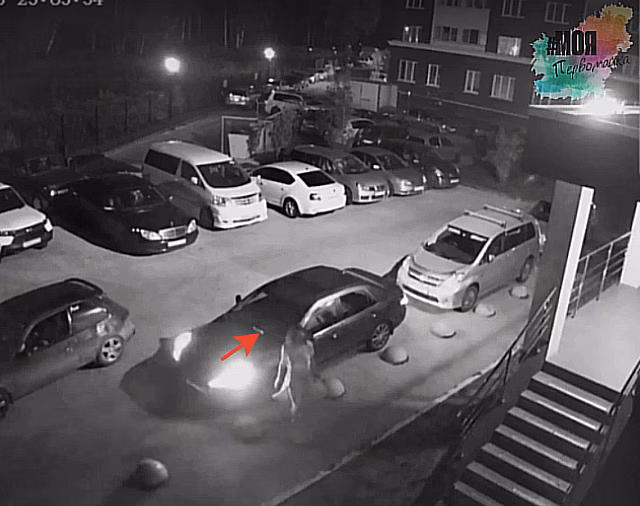 Жительница Новосибирска оставила кабачки на машинах своих соседей