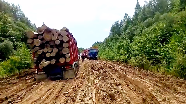 Фургал остановил лесовозы на исчезающей дороге в Хабкрае
