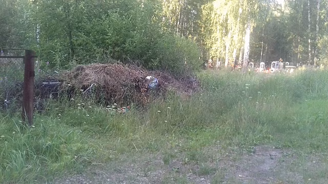 Тюменское кладбище довели до критического состояния