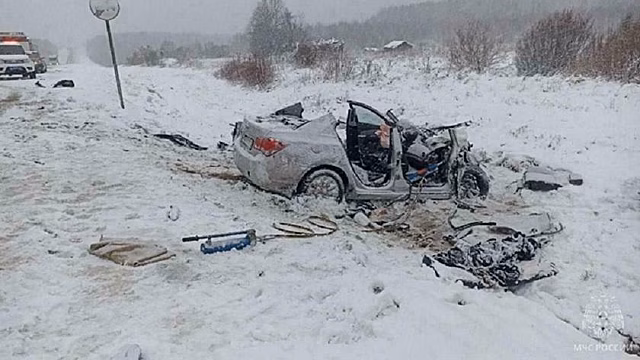 Водительская ошибка привела к гибели жены и ребёнка