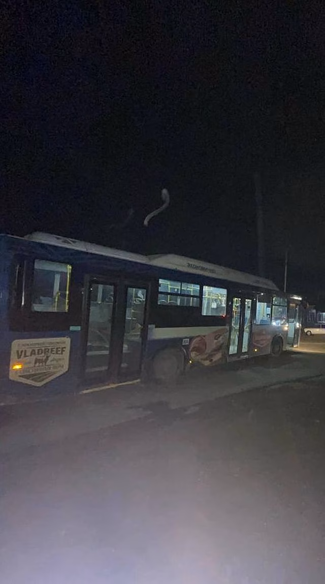 В Новосибирской области грузовик насмерть сбил пешехода