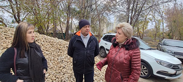 Лада Мокроусова: Ознакомилась с ремонтом дороги по улице Огородной