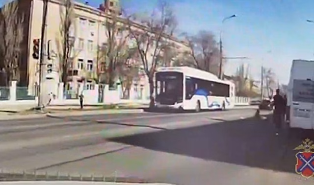 В Волгограде женщина на «Рено» сбила четверых школьников