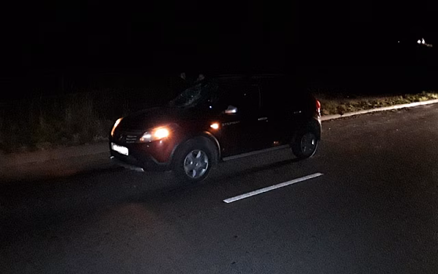 В Рязани на улице Зубковой сбили 39-летнего мужчину