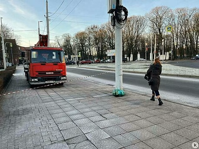 В Калининграде полиция ищет контору «Рога и копыта», которая снимала новогоднюю иллюминацию с нарушением ПДД