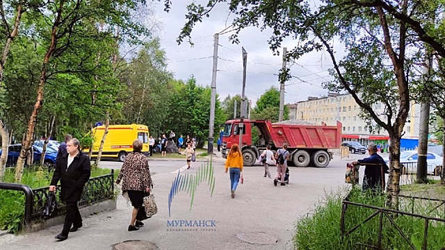 В Мурманске водитель самосвала сбил мужчину на пешеходном переходе