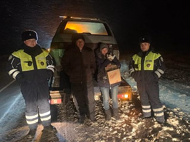 Сотрудники ДПС спасли замерзающих на трассе глухонемых супругов и их котенка