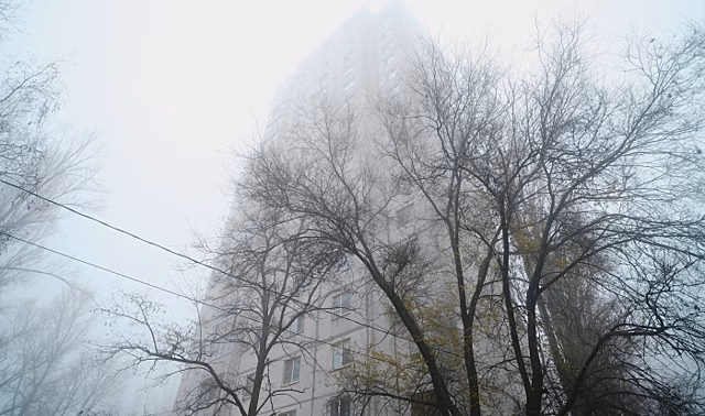 Волгоградцы обсуждают готовность к работе в непогоду, уничтожение БПЛА и елочные базары