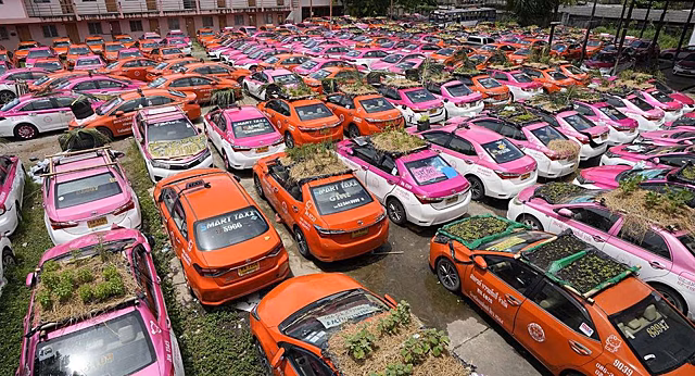 Из простаивающих автомобилей сделали мини-грядки