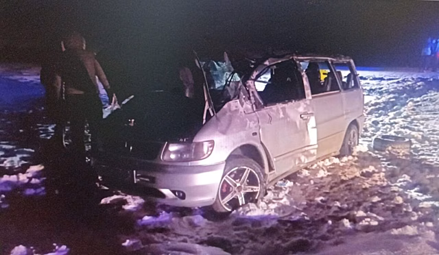 Трое мужчин на «Mercedes Vito» покалечились при съезде в кювет под Саратовом