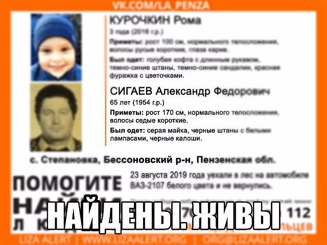 Пропавшие в Пензенской области пожилой мужчина с внуком найдены