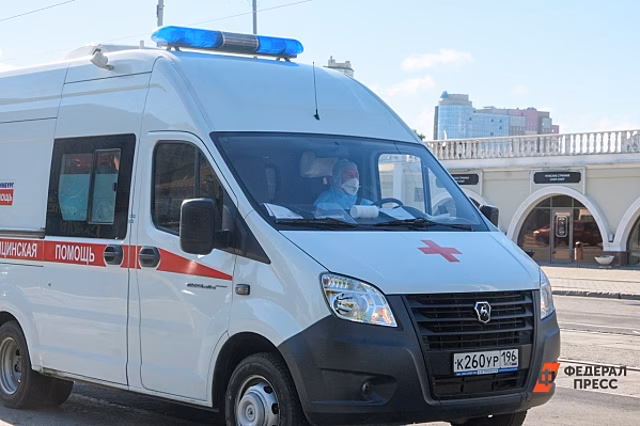 В страшном ДТП на трассе «Кола» погибли трое взрослых, маленький ребенок и собака
