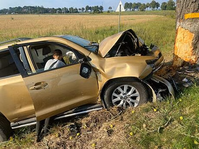 «Разбита голова, кровь текла по лицу»: под Калининградом 17-летний водитель врезался в дерево