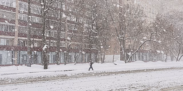 Похолодание и небольшой снег пообещали жителям Петербурга