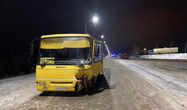 На трассе под Волгоградом в ДТП с автобусом пострадал человек