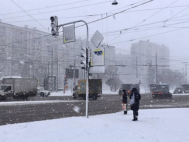 МЧС предупредило о сильном дожде в Подмосковье в течение четверга
