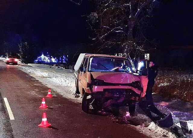 В ДТП под Правдинском пострадали пятеро пассажиров микроавтобуса