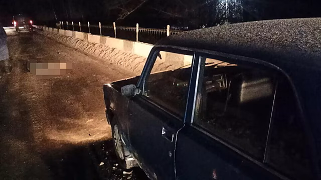 Два человека погибли под колесами микроавтобуса в Нижегородской области