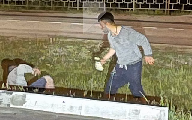Рязанская полиция рассказала о драке в Борках