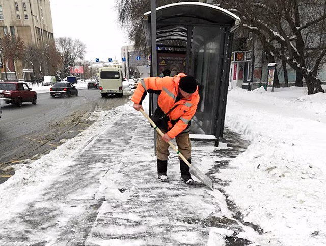 В Тольятти ищут подрядчика для круглогодичного благоустройства города