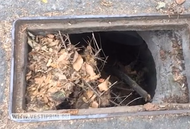 Падение журналиста в открытый люк во Владивостоке вызвал бурные обсуждения в сети