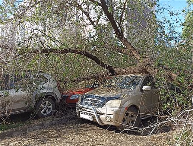 В Самаре дерево упало на шесть машин