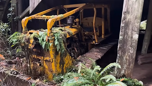 Посмотрите, как брошенный бульдозер Caterpillar возвращают к жизни спустя много лет