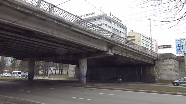 «Смертельное селфи» или суицид? Версии трагедии на эстакадном мосту