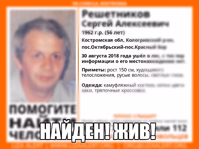 Костромские волонтеры спасли почтальона от голодного медведя