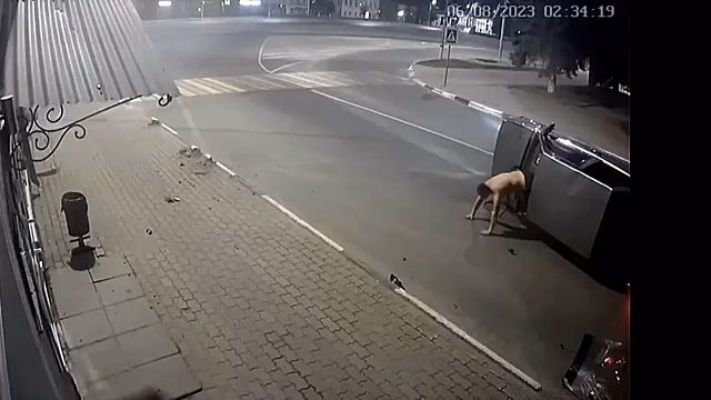 Водитель и пассажиры вылезли из перевернувшейся Lada через лобовое стекло