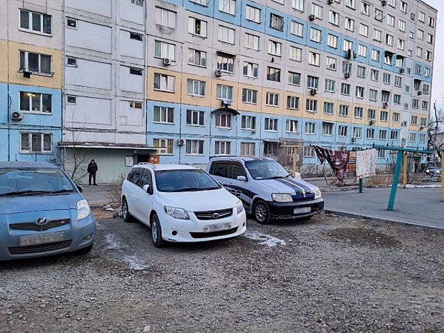 Автоэксперт назвал два популярных японских авто, «негодных» для зимы