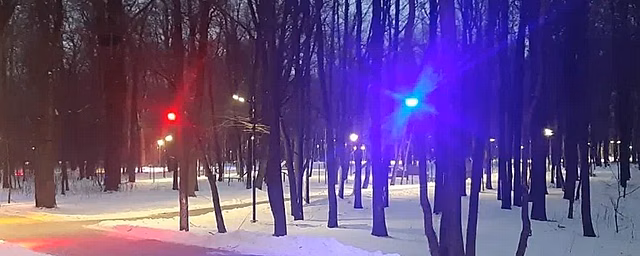 В «Дубовой роще» Чебоксар подключили новое освещение