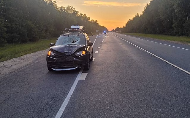 В Рязанской области москвич на LADA Granta насмерть сбил 22-летнего пешехода