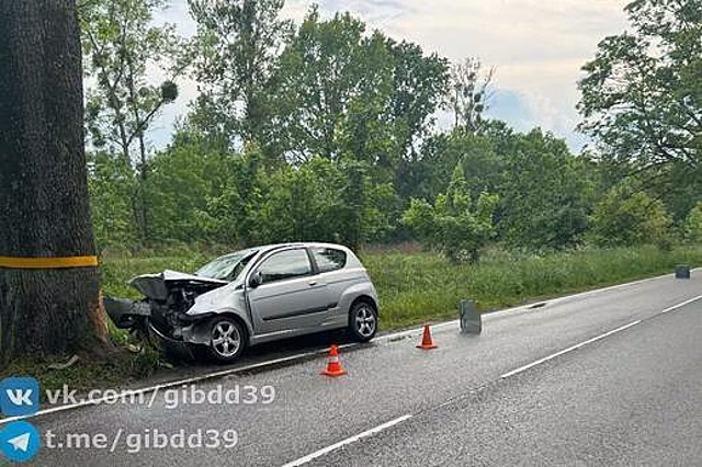В Зеленоградском районе легковушка влетела в дерево, пострадал один человек