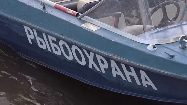 Браконьер прокатил инспектора рыбнадзора на капоте
