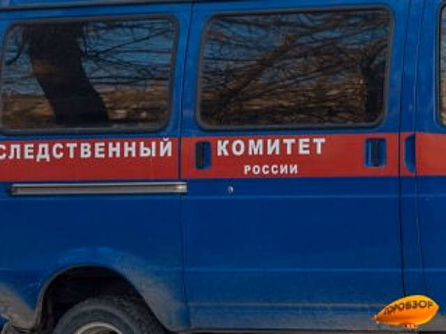 Следователи в Уфе проверят сообщение о нападении избившей 10-летнюю девочку пенсионерки на журналистов