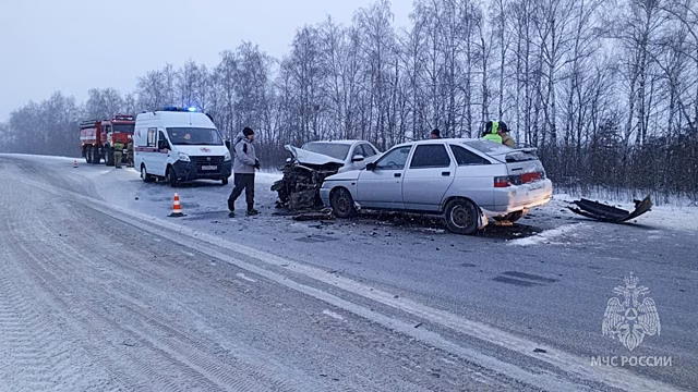 Обгон по «встречке» привел к ДТП с тремя погибшими в Дивеевском округе