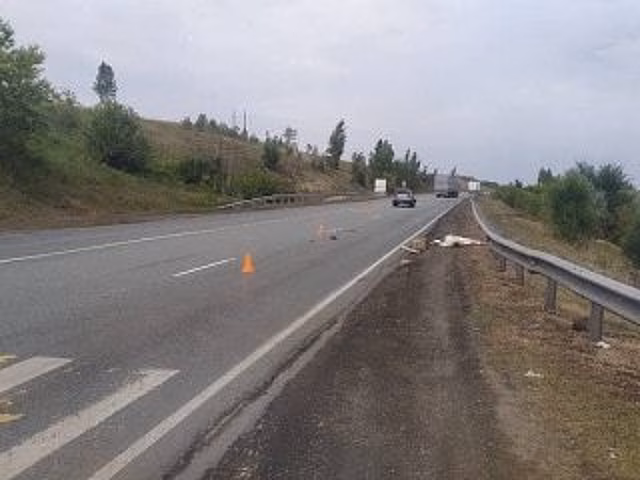 В Башкирии мужчина был насмерть сбит на пешеходном переходе