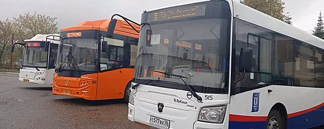 В Кострому к 1 июня прибудут новые автобусы большой вместимости