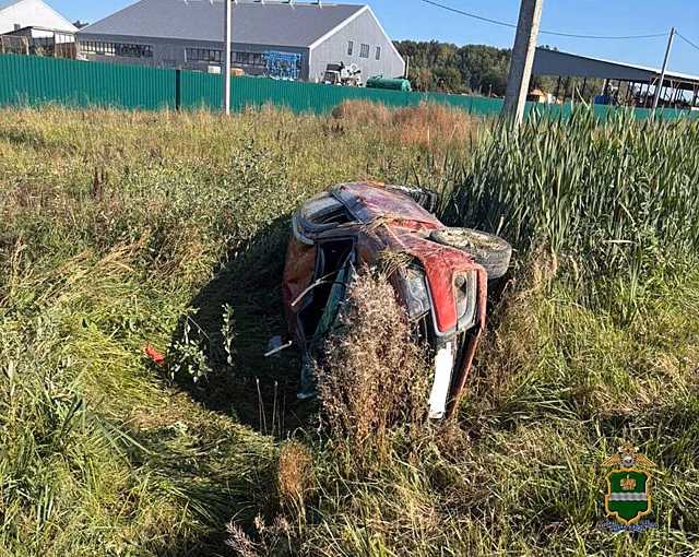 Женщина и двое детей получили травмы в ДТП в Калужской области