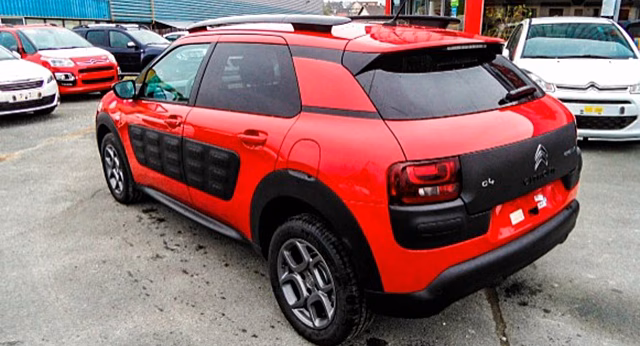 Для чего на дверях Citroen C4 Cactus подушечки и как они устроены?