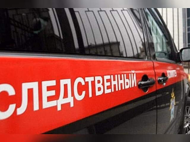 СК начал проверку о нападении собак на подростка в Чите после сюжета ZAB.TV