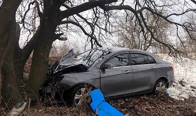 В ДТП с деревом под Волгоградом пострадала 35-летняя женщина