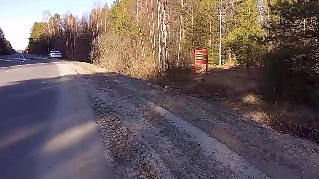 Мотоциклист погиб в кювете по дороге в Ковернино