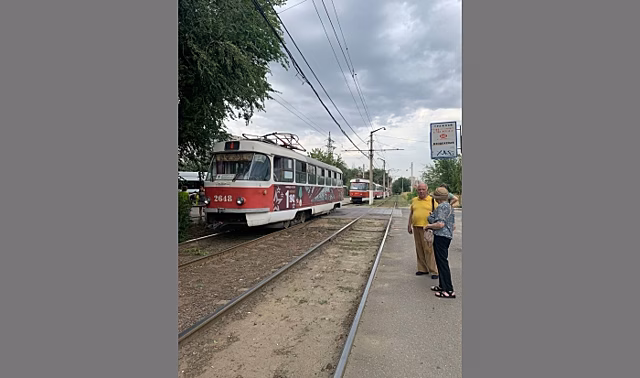 В Волгограде из-за упавшего дерева трамваи встали в пробку